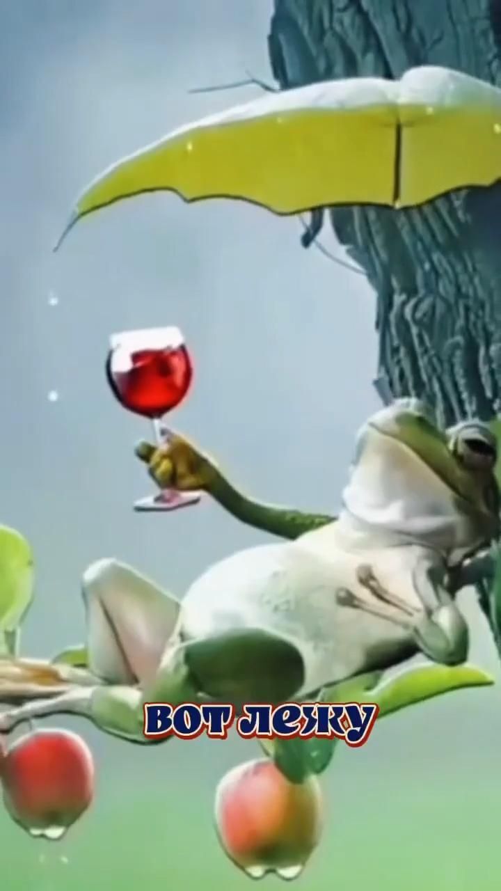 Открытка хорошего дня и настроения. 🔥 Минутка позитива a frog holding a glass of wine in it's hand while flying through the air. Вот лежу. Открытка хорошего дня и настроения. 🔥 Минутка позитива a frog holding a glass of wine in it's hand while flying through the air. Вот лежу.