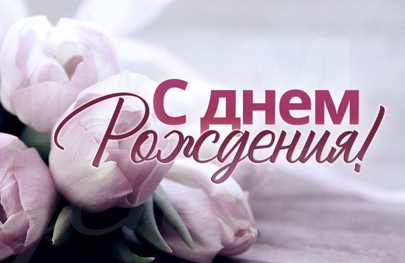 Открытка с днем рождения. there are pink tulips with the words russian written in red and white letters