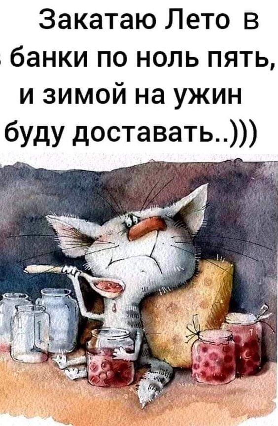 Смешная картинка с котом про заготовки на зиму. Мем о том, как закатать лето в банки. Милая акварельная иллюстрация для настроения. Открытка Закатаю лето в банки по ноль пять и зимой на ужин буду доставать...))) Забавный мем с рисованным котом, который мечтает о заготовках на зиму. На картинке изображен грустный, но милый кот рядом с банками варенья или компота. Текст на русском языке гласит: «Закатаю Лето в банки по ноль пять, и зимой на ужин буду доставать..)))». Иллюстрация выполнена в стиле акварельной рисовки, передает уютную, но ироничную атмосферу осеннего настроения и подготовки к зиме