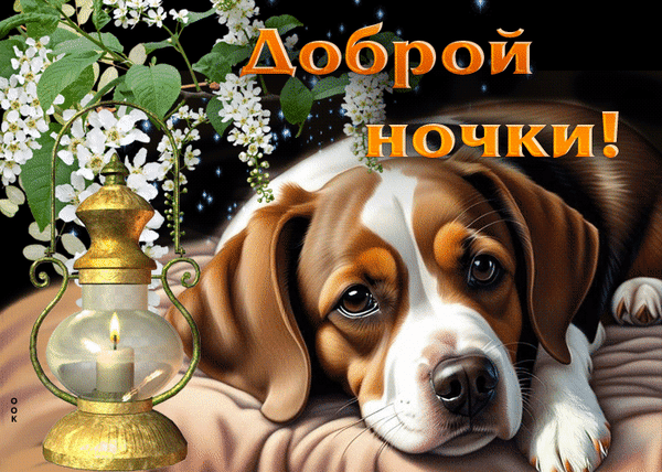 Милая открытка «Доброй ночки!» с очаровательным щенком, уютным фонарем и цветами. Идеальное пожелание спокойной ночи для близких в WhatsApp и Telegram. Анимированная открытка Доброй ночки Милая и уютная открытка с изображением очаровательного щенка, отдыхающего рядом с горящим старинным фонарем. На фоне видны нежные белые цветы и ночное небо. На картинке крупная надпись на русском языке: «Доброй ночки!». Идеально подходит для отправки близким, друзьям и любимым в мессенджерах (WhatsApp, Telegram) в качестве доброго пожелания спокойной ночи