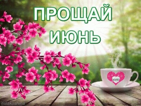 Красивая открытка «Прощай, июнь» с розовыми цветами и чашкой кофе. Уютная картинка для прощания с июнем и пожеланий в соцсетях. Открытка Прощай, Июнь! Красивая открытка с надписью «Прощай, июнь» на фоне цветущей розовой сакуры и солнечного пейзажа. На деревянном столе стоит чашка кофе с сердечком, создавая уютную и меланхоличную атмосферу конца весны и начала лета Красивая открытка «Прощай, июнь» с розовыми цветами и чашкой кофе. Уютная картинка для прощания с июнем и пожеланий в соцсетях. Открытка Прощай, Июнь! Красивая открытка с надписью «Прощай, июнь» на фоне цветущей розовой сакуры и солнечного пейзажа. На деревянном столе стоит чашка кофе с сердечком, создавая уютную и меланхоличную атмосферу конца весны и начала лета