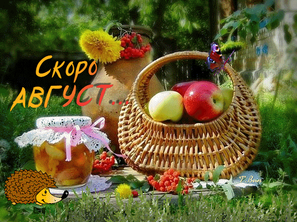 Летняя открытка «Скоро август...» с корзиной яблок, баночкой варенья и ежиком. Уютное изображение для пожеланий тепла и прекрасного настроения. Анимированная открытка Скоро август... Атмосферная летняя открытка с надписью «Скоро август...». На уютном деревенском фоне изображена плетеная корзина с сочными яблоками, стеклянная баночка с домашними заготовками, яркие полевые цветы и ягоды рябины. Изображение дополнено милыми деталями: мультяшным ежиком и бабочкой, создавая ощущение тепла, уюта и приближения конца лета