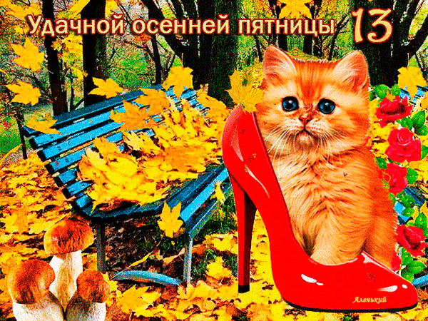 Милый рыжий котенок в красной туфле на фоне осеннего парка. Поздравительная картинка с надписью «Удачной осенней пятницы 13» для отправки друзьям. Анимированная открытка Удачно осенней пятницы 13 Яркая и позитивная поздравительная открытка для пятницы. На изображении милый рыжий котенок, уютно расположившийся в красной туфле на высоком каблуке. Фон представляет собой осенний парк с синей скамейкой, усыпанной золотистыми кленовыми листьями, и красивыми красными розами. В верхней части надпись на русском языке: «Удачной осенней пятницы 13»