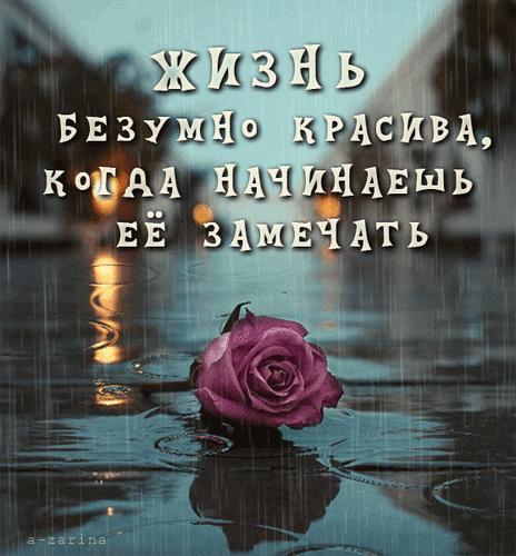 Красивая роза в луже под дождем с вдохновляющей цитатой: «Жизнь безумно красива, когда начинаешь ее замечать». Эстетичное фото для души и настроения. Анимированная открытка Жизнь безумно красива, когда начинаешь ее замечать Эстетичное изображение одинокой розовой розы, лежащей в луже под дождем. На фоне — размытый городской пейзаж с огнями вечерних фонарей, отражающимися в воде. Поверх картинки нанесен вдохновляющий текст на русском языке: 