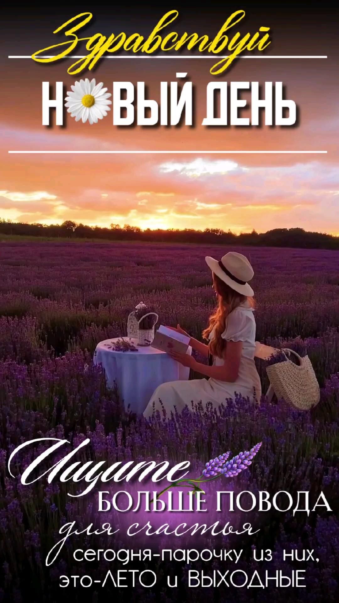 Открытка отличных выходных. #лаванда #выходные лаванда a woman sitting in the middle of a field with lavenders on it and an advertisement for