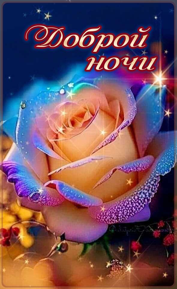 Открытка спокойной ночи. a pink rose with water droplets on it and the words dopponi hou Открытка спокойной ночи. a pink rose with water droplets on it and the words dopponi hou
