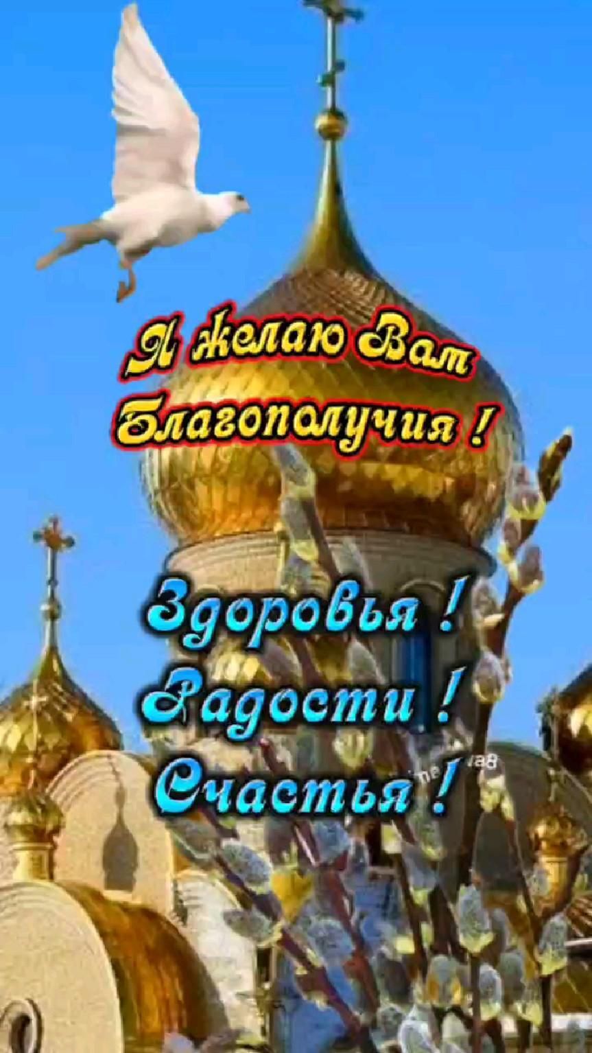 Открытка хорошего дня и настроения. a white bird flying over the top of a building with words in russian and english Открытка хорошего дня и настроения. a white bird flying over the top of a building with words in russian and english