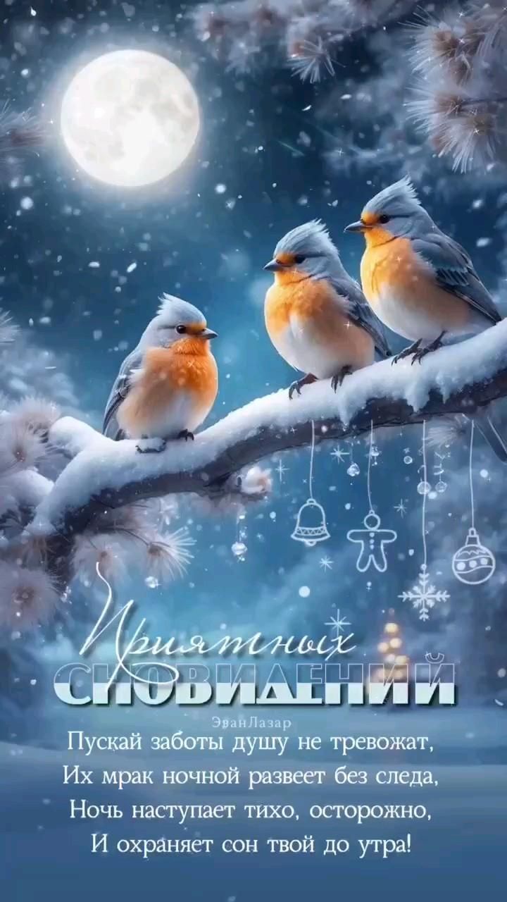 Открытка спокойной ночи. two birds sitting on a branch in front of a full moon and snow covered night sky Открытка спокойной ночи. two birds sitting on a branch in front of a full moon and snow covered night sky