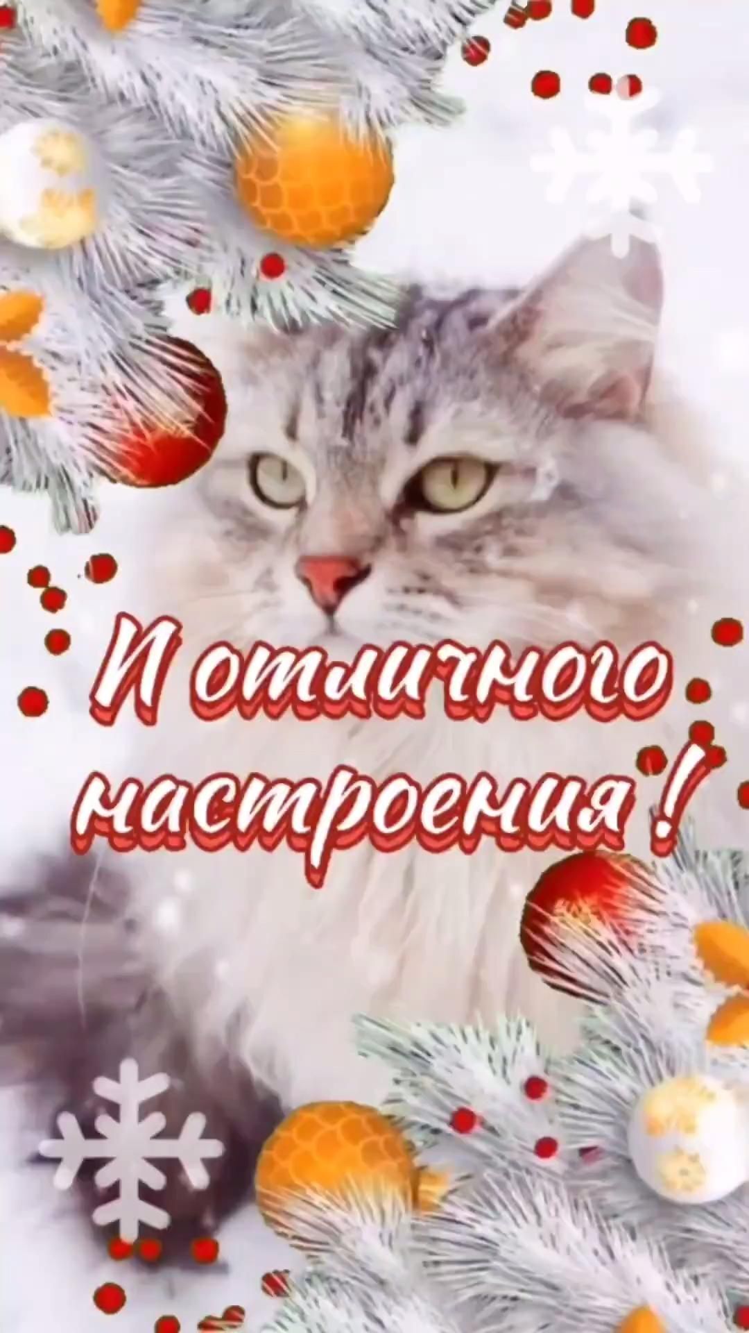 Открытка на Зиму. 🌲🙏 a cat is sitting in front of a christmas tree with balls and snowflakes