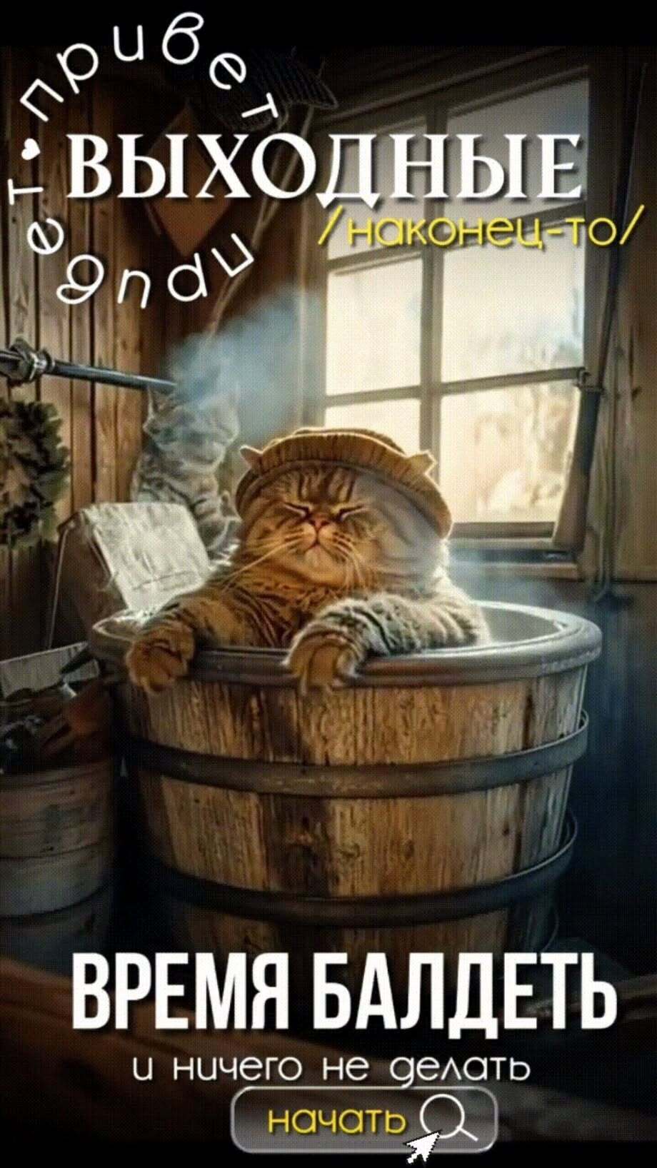 Открытка отличных выходных. Кот моется в бочке.