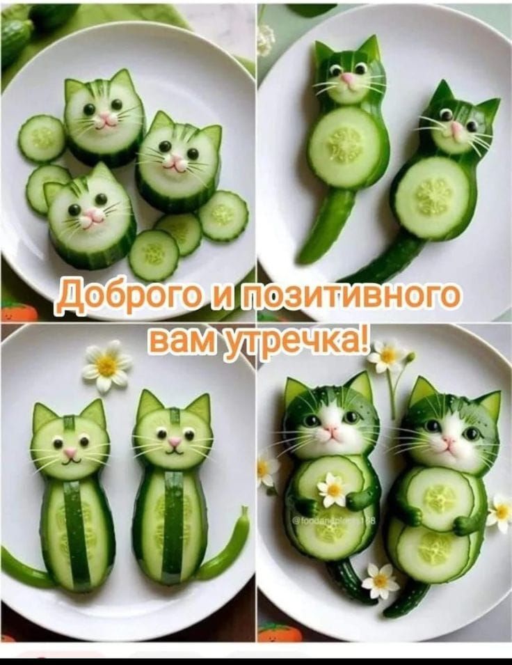 Открытка с добрым утром. Нарезки из огурцов в виде котов. Открытка с добрым утром. Нарезки из огурцов в виде котов.