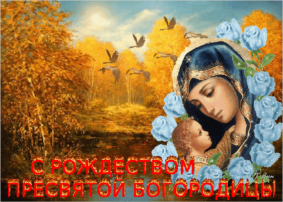 Поздравление с Рождеством Пресвятой Богородицы: икона Богородицы с Младенцем, голубые розы и золотой осенний пейзаж. Духовная открытка к празднику. Анимированная открытка С Рождеством Пресвятой Богородицы! Красивая поздравительная открытка к Рождеству Пресвятой Богородицы. На изображении представлена икона Богородицы с Младенцем в окружении нежных голубых роз на фоне осеннего золотого леса и птиц, парящих в небе. Теплая осенняя атмосфера, сочетание духовности и природной красоты