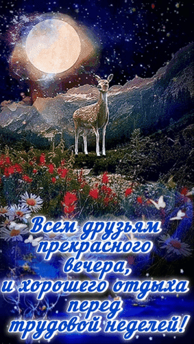 Красивая ночная открытка с оленем, луной и цветами. Пожелание прекрасного вечера и хорошего отдыха перед рабочей неделей для друзей. Анимированная открытка Всем друзьям прекрасного вечера и хорошего отдыха перед трудовой неделей! Живописная открытка для пожелания хорошего вечера. На фоне ночного горного пейзажа под огромной яркой луной стоит грациозная оленя. Передний план украшен полевыми цветами и бабочками. В центре расположена красивая надпись на русском языке: Всем друзьям прекрасного вечера, и хорошего отдыха перед трудовой неделей! Красивая ночная открытка с оленем, луной и цветами. Пожелание прекрасного вечера и хорошего отдыха перед рабочей неделей для друзей. Анимированная открытка Всем друзьям прекрасного вечера и хорошего отдыха перед трудовой неделей! Живописная открытка для пожелания хорошего вечера. На фоне ночного горного пейзажа под огромной яркой луной стоит грациозная оленя. Передний план украшен полевыми цветами и бабочками. В центре расположена красивая надпись на русском языке: Всем друзьям прекрасного вечера, и хорошего отдыха перед трудовой неделей!
