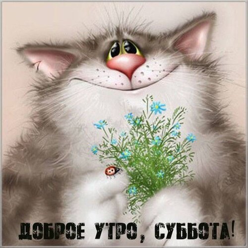 Милая открытка с пушистым котом, цветами и надписью «Доброе утро, суббота!». Позитивное пожелание хорошего выходного дня для друзей и близких. Открытка Доброе субботнее утро! Милая и позитивная открытка с изображением пушистого серого кота, который держит букетик нежных голубых незабудок. На картинке также виден маленький божья коровка, добавляющий уюта. В нижней части расположена надпись на русском языке: 