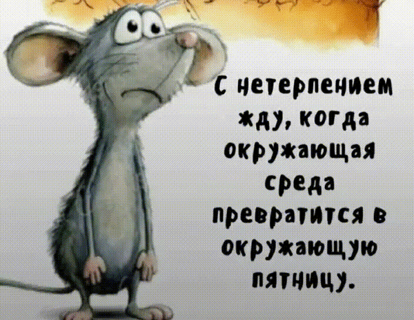 Мем с грустной мышкой и текстом о ожидании пятницы. Смешная картинка про работу и предвкушение выходных для соцсетей и мессенджеров. Анимированная открытка С нетерпением жду, когда окружающая среда превратится в окружающую пятницу. Забавный мем с изображением грустной и ожидающей мышки. На картинке размещен текст на русском языке: «С нетерпением жду, когда окружающая среда превратится в окружающую пятницу». Изображение передает чувство усталости от рабочей недели и предвкушение выходных