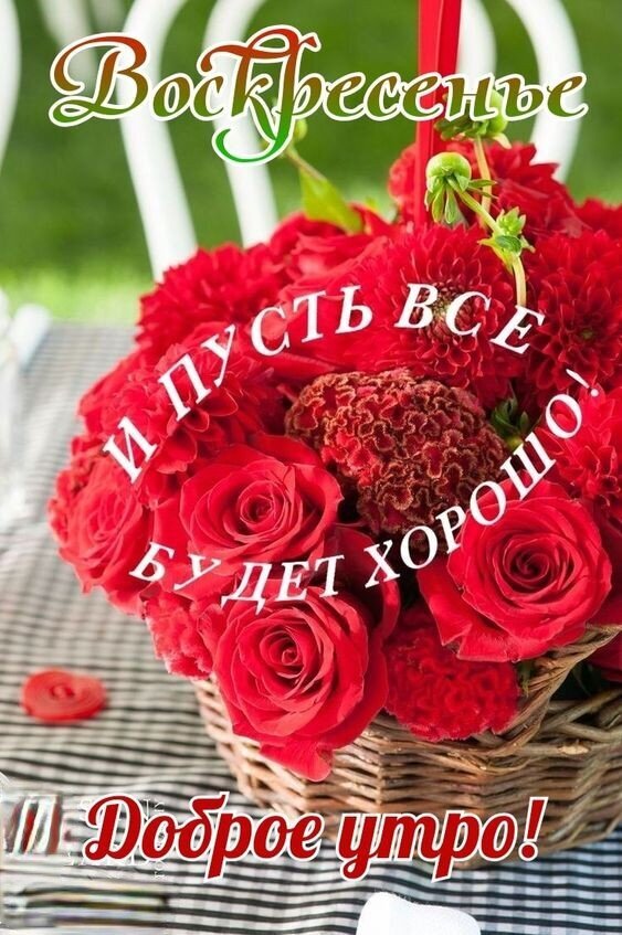 Красивая открытка на воскресенье: букет красных роз в корзине и пожелание «И пусть все будет хорошо. Доброе утро!». Позитивное поздравление с выходным. Открытка Доброе утро Воскресенья! Красивая поздравительная открытка к воскресенью с пышным букетом ярко-красных роз и декоративных цветов в плетеной корзинке. На изображении нанесена вдохновляющая надпись на русском языке: «Воскресенье. И пусть все будет хорошо. Доброе утро!». Атмосферное фото в светлых тонах, передающее уют, позитив и праздничное настроение