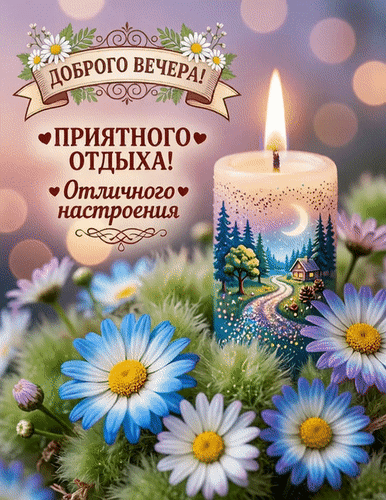 Открытка «Доброго вечера!» с уютной свечой и ромашками. Пожелание приятного отдыха и отличного настроения для близких. Анимированная открытка Добрый вечер Открытка «Доброго вечера!» с уютной свечой и ромашками. Пожелание приятного отдыха и отличного настроения для близких. Анимированная открытка Добрый вечер