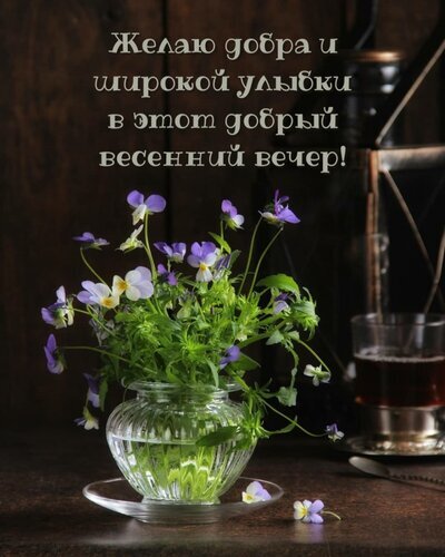 Красивая открытка с фиалками и текстом: «Желаю добра и широкой улыбки в этот добрый весенний вечер!». Уютное пожелание доброго вечера на весенную тематику. Открытка Добрый весенний вечер Уютная и теплая открытка с изображением нежных фиолетовых фиалок в стеклянной вазе на темном фоне. На картинке наложен красивый текст на русском языке: Желаю добра и широкой улыбки в этот добрый весенний вечер! Красивая открытка с фиалками и текстом: «Желаю добра и широкой улыбки в этот добрый весенний вечер!». Уютное пожелание доброго вечера на весенную тематику. Открытка Добрый весенний вечер Уютная и теплая открытка с изображением нежных фиолетовых фиалок в стеклянной вазе на темном фоне. На картинке наложен красивый текст на русском языке: Желаю добра и широкой улыбки в этот добрый весенний вечер!