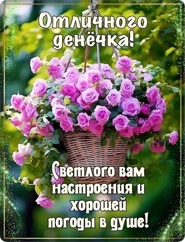 Открытка с розовыми розами в корзине. Пожелание отличного денечка, светлого настроения и хорошей погоды в душе. Красивое изображение для доброго утра! Открытка Отличного денечка! Красивая поздравительная открытка с пышным букетом нежно-розовых роз в подвесной плетеной корзине. На изображении наложен поздравительный текст на русском языке: «Отличного денечка! Светлого вам настроения и хорошей погоды в душе!»