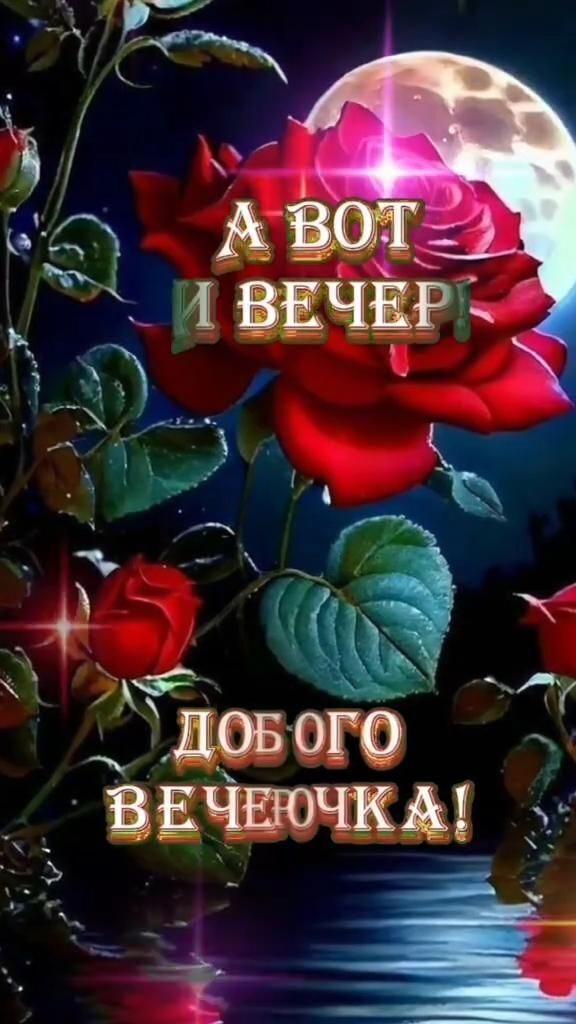 Открытка добрый вечер. ❤️🙏Добрый вечер a red rose sitting on top of a lush green plant