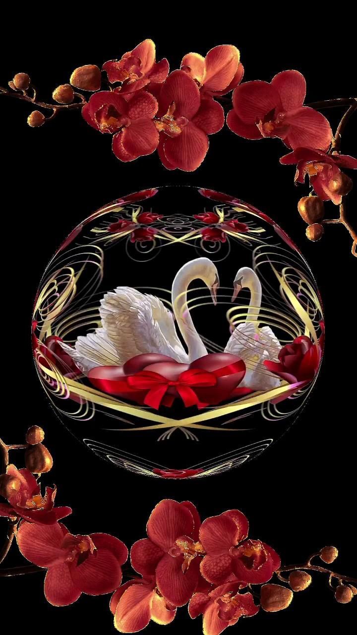 Открытка с днем свадьбы. фон two swans in a basket surrounded by red flowers and orchids on a black background