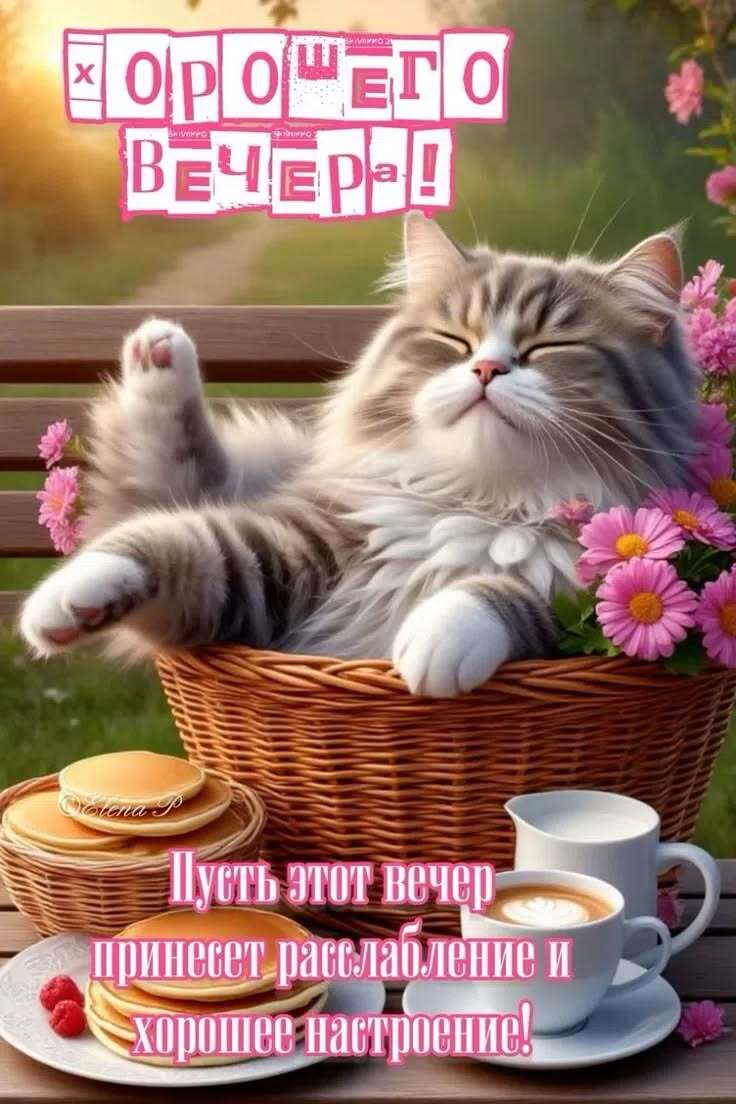 Открытка добрый вечер. Котик в корзине.