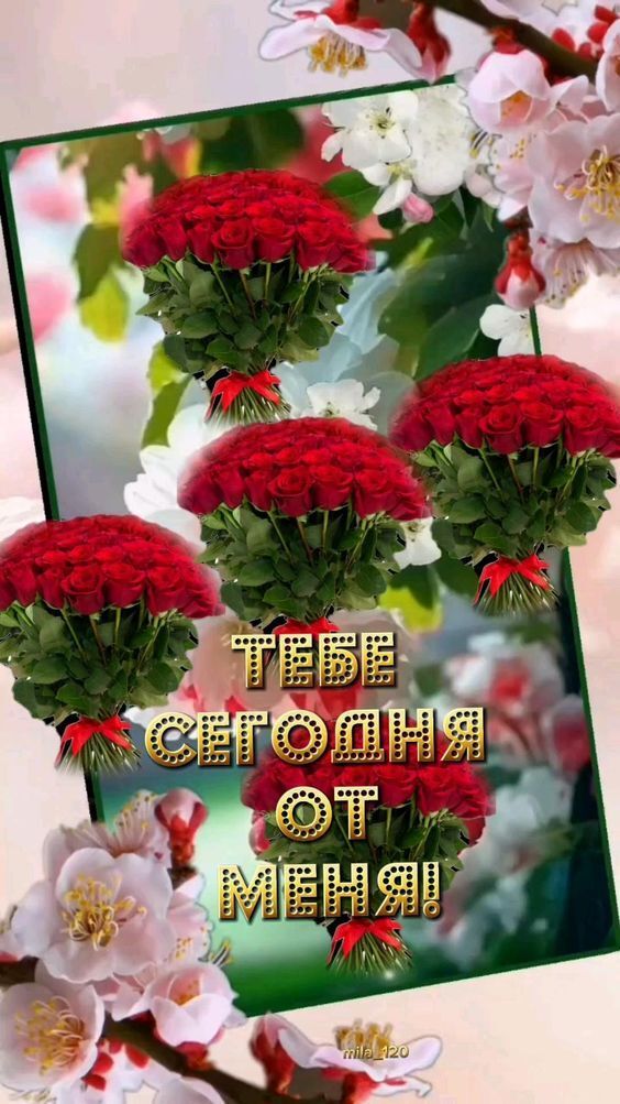 Открытка с днем рождения. Тебе сегодня от меня! Открытка с днем рождения. Тебе сегодня от меня!