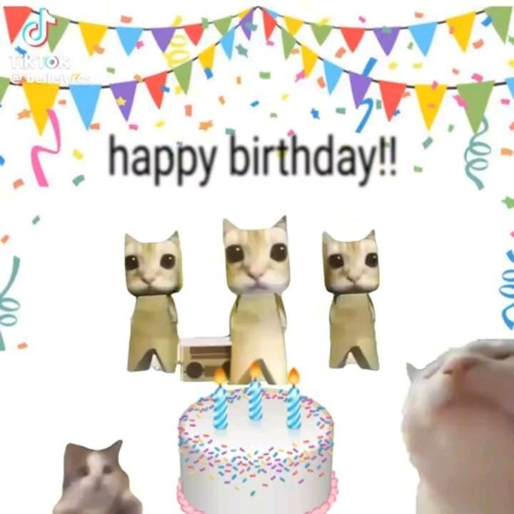 Открытка с днем рождения. #happybirthday 🎁🎊 🎉😚💖 two cats are looking at a birthday cake Открытка с днем рождения. #happybirthday 🎁🎊 🎉😚💖 two cats are looking at a birthday cake