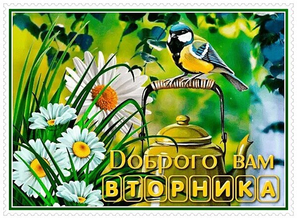 Поздравительная открытка с синицей, ромашками и чайником. Надпись: Доброго вам вторника. Уютная картинка для пожелания хорошего дня в соцсетях. Открытка Доброго вам вторника Живописная поздравительная открытка с изображением маленькой синицы, сидящей на ручке золотистого чайника. На фоне красуются белоснежные ромашки с ярко-желтыми сердцевинами и сочная зеленая листва. На картинке расположена надпись на русском языке: 