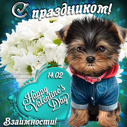 Милая открытка к 14 февраля: щенок йоркширского терьера, белые цветы и надпись «Happy Valentines Day». Поздравление с Днем святого Валентина: «С праздником!» Открытка С Днем Влюбленных! Милая поздравительная открытка к Дню святого Валентина (14.02). На изображении очаровательный щенок йоркширского терьера в джинсовой одежде на фоне пышных белых хризантем. В центре расположен бирюзовое сердце с надписью «Happy Valentine's Day». Дизайн дополнен праздничными надписями на русском языке: «С праздником!» и «Взаимности!», создавая атмосферу нежности, любви и тепла