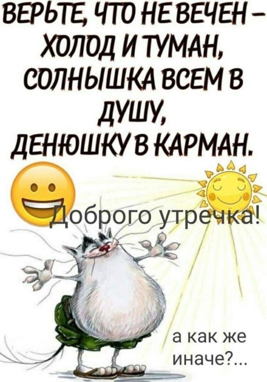 Открытка с добрым утром. Кот желает доброго утра.