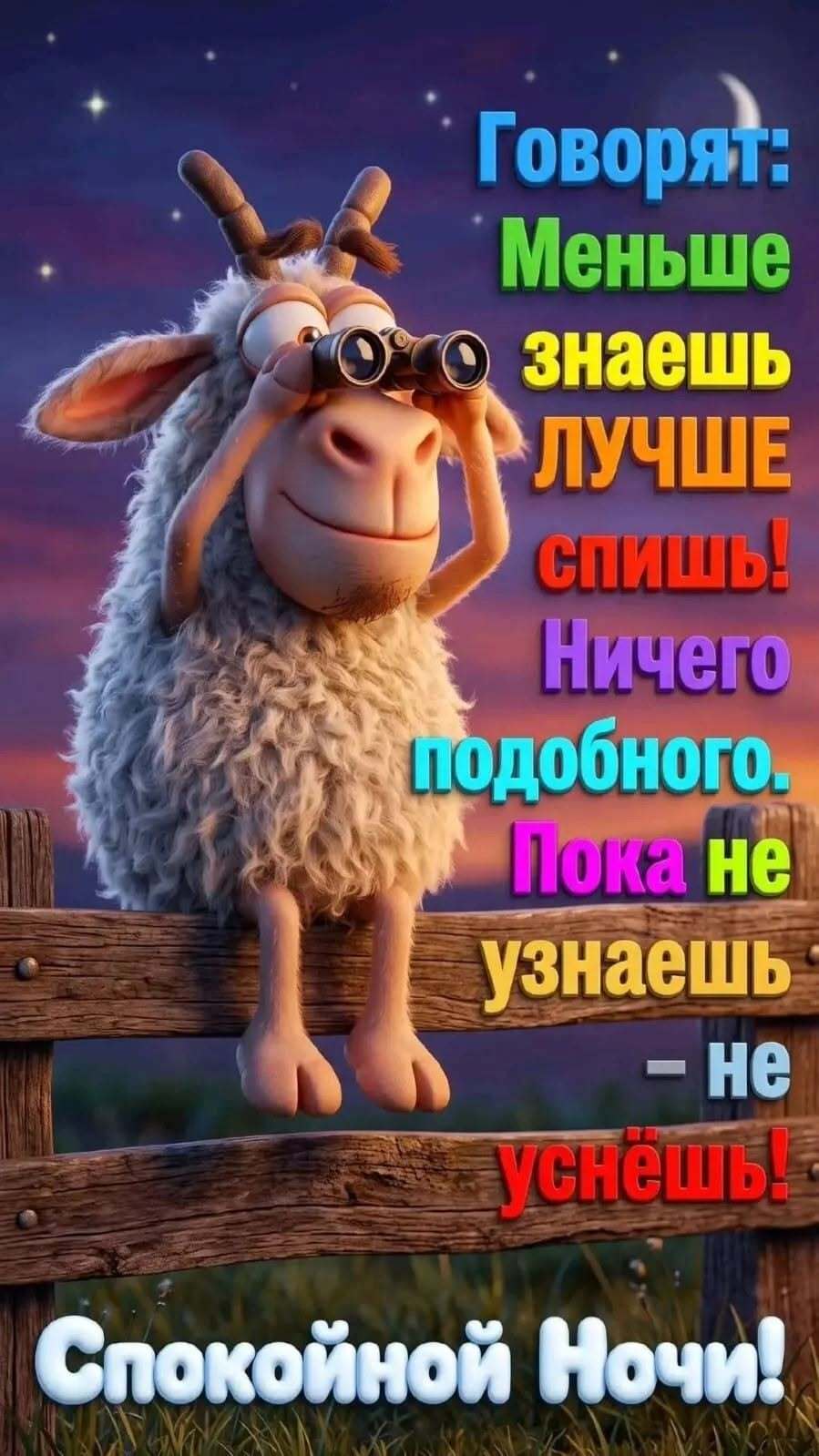 Открытка спокойной ночи. Барашек с биноклем.