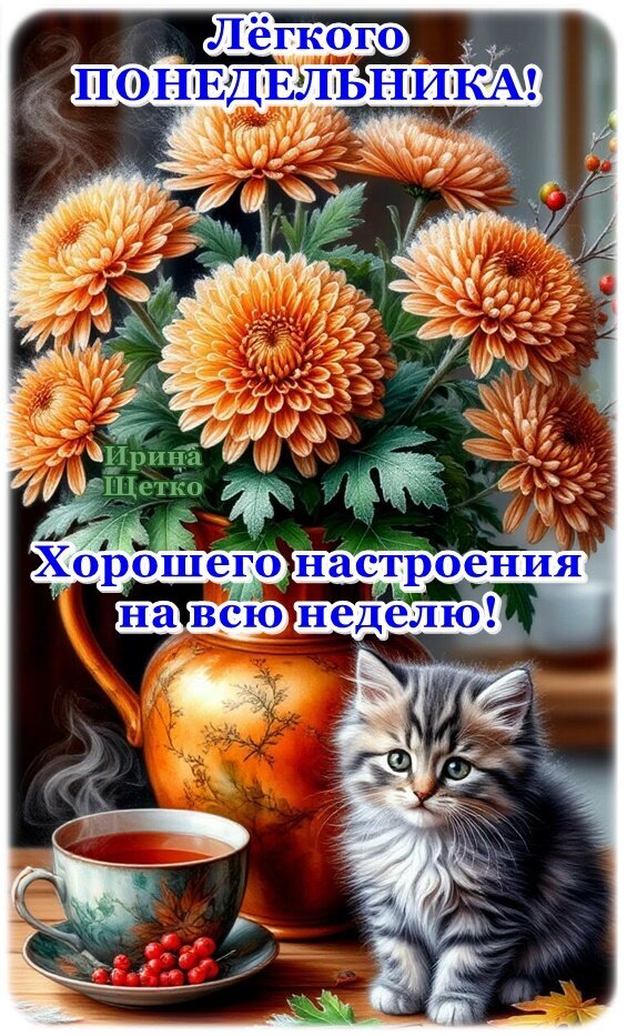Открытка «Легкого понедельника!»: букет хризантем, уютная чашка чая и милый котенок. Пожелание хорошего настроения на всю неделю для ваших близких. Открытка Легкого понедельника! Красивая поздравительная открытка к понедельнику с букетом оранжевых хризантем в вазе, чашкой ароматного чая и милым пушистым котенком. На картинке надписи на русском языке: «Легкого понедельника!» и «Хорошего настроения на всю неделю!»