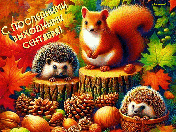 Осенняя открытка с белками и ежиками: С последними выходными сентября!. Уютная иллюстрация с осенними листьями и шишками для поздравлений. Анимированная открытка С Последними выходными сентября! Осенняя поздравительная открытка с милыми рыжими белками и ежиками в окружении осенней листвы, шишек и орехов. На картинке красуется надпись на русском языке: 