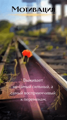 Мотивационная цитата: «Выживает не самый сильный, а самый восприимчивый к переменам» на фоне рельсов и красного мака. Картинка для вдохновения и саморазвития. Анимированная открытка Мотивация. Выживает не самый сильный, а самый восприимчивый к переменам. Мотивационная открытка с вдохновляющей цитатой на фоне железнодорожных путей. На переднем плане — яркий одинокий красный мак, растущий между рельсами, что символизирует стойкость и жизнь вопреки обстоятельствам. Текст на изображении гласит: 