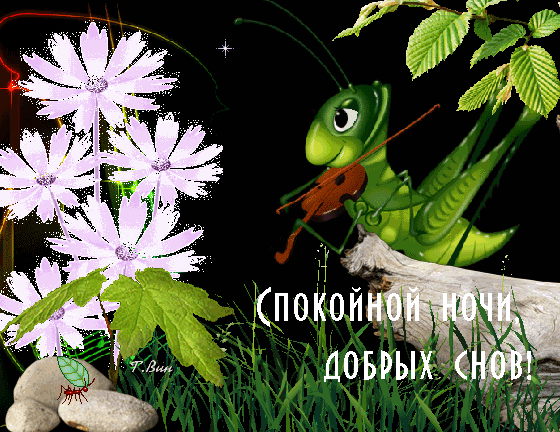 Сказочная открытка «Спокойной ночи, добрых снов!» с милым кузнечиком-скрипачом и нежными цветами на ночном фоне. Идеально для добрых пожеланий. Анимированная открытка Спокойной ночи, добрых снов! Милая и сказочная открытка на тему «Спокойной ночи». На изображении запечатлен мультяшный зеленый кузнечик, который играет на скрипке, сидя на ветке дерева. Рядом распускаются нежные светло-сиреневые цветы на фоне темного ночного неба со звездами. В нижней части картинки расположена красивая надпись на русском языке: «СПОКОЙНОЙ НОЧИ, ДОБРЫХ СНОВ!»