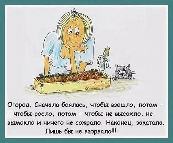 Смешная картинка про огород: ироничная цитата о страхах дачника — от всходов до взрыва. Юмор про садоводство и дачный сезон. Открытка Сначала чтоб взошло Юмористическая иллюстрация и цитата о садоводстве. На картинке изображена женщина, наблюдающая за грядкой, и забавный текст о трудностях огородного сезона: от страха, что ничего не взойдет, до опасений, что все сгорит или взорвется