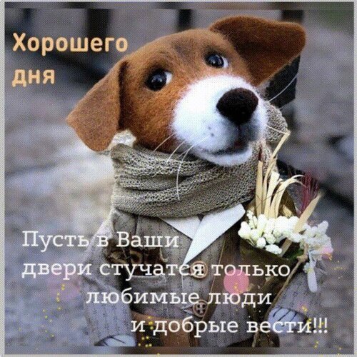 Милая открытка с щенком и цветами. Пожелание хорошего дня: Пусть в ваши двери стучатся только любимые люди и добрые вести!!!. Отправьте близким! Открытка Хорошего дня Пусть в Ваши двери стучатся только любимые люди и добрый вести!!! Милая открытка с изображением пушистого игрушечного щенка в шарфе и с букетом цветов. На картинке размещен добрый текст пожелания: Хорошего дня! Пусть в ваши двери стучатся только любимые люди и добрые вести!!!