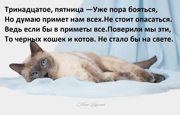 Сиамский кот на светлом фоне и философские стихи о суевериях, пятнице тринадцатого и черных кошках. Авторское изображение с глубоким смыслом. Открытка Тринадцатое, пятница — уже пора бояться, но думаю примет нам всех не стоит опасаться. Картинка с изображением спокойного сиамского кота, лежащего на светлой ткани, с наложенным поэтическим текстом на русском языке. Текст представляет собой философское размышление о суевериях, пятнице тринадцатого и черных кошках, призывающее не бояться примет. Композиция выполнена в светлых, нежных тонах, создавая контраст между мистическим содержанием стихов и умиротворяющим визуальным рядом
