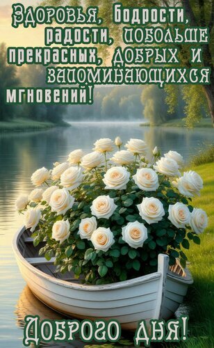 Красивая открытка с белыми розами в лодке на берегу озера. Пожелание здоровья, радости и доброго дня. Идеально для отправки близким! Открытка Добрый день Красивая открытка с букетом белоснежных роз, расположенных в маленькой деревянной лодке на берегу спокойного озера. На фоне — живописный природный пейзаж с туманной водой и зеленью. На изображении нанесен поздравительный текст на русском языке: пожелания здоровья, бодрости, радости и прекрасных мгновений, а также надпись «Доброго дня!»
