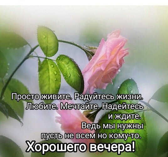 Эстетичная открытка с розой и мотивирующей цитатой о жизни. Пожелание доброго вечера, вдохновение и нежность. Идеально для соцсетей и мессенджеров. Открытка Просто жить. Радость жизни. Красивое эстетичное изображение нежной розовой розы с капельками росы на зеленых листьях на размытом светлом фоне. На картинке расположен вдохновляющий текст на русском языке: «Просто живите. Радуйтесь жизни. Любите. Мечтайте. Надейтесь и ждите. Ведь мы нужны пусть не всем но кому-то. Хорошего вечера!»