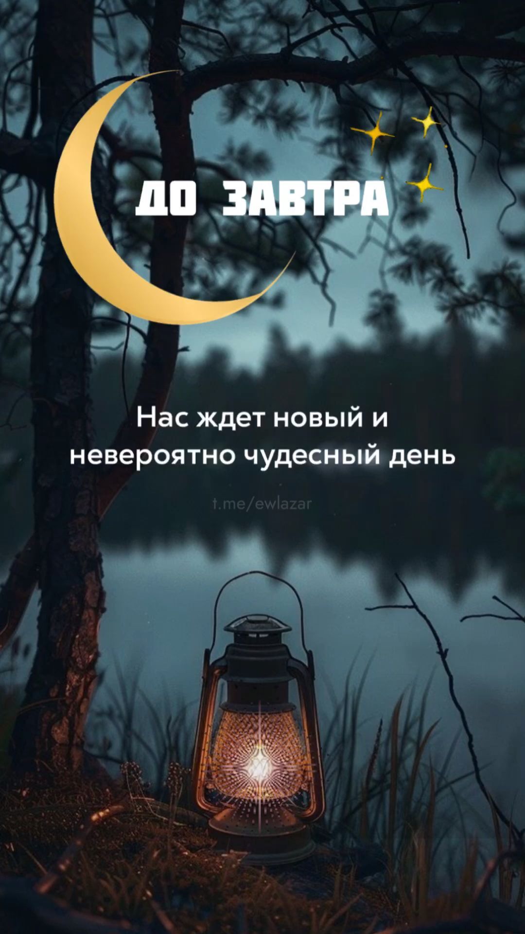 Открытка спокойной ночи. #добройночи #дозавтра a lantern sitting on top of a grass covered field next to a forest filled with trees