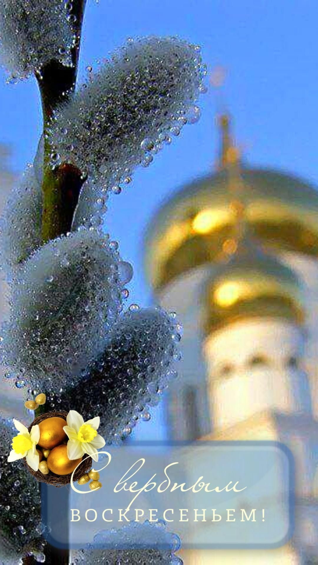 Открытка с Вербным Воскресеньем. Вербное воскресенье the flowers are covered in ice and water next to a building with a golden dome