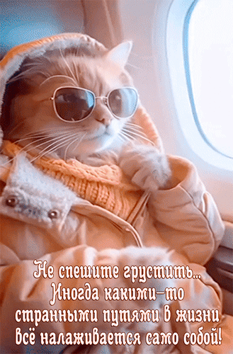 Кот в солнечных очках в самолете с мотивирующей цитатой: «Не спешите грустить... Все наладится!». Смешная и вдохновляющая картинка для сторис и мемов. Анимированная открытка Не спешите грустить... Иногда какими-то странными путями в жизни все налаживается само собой! Забавное и вдохновляющее фото кота в солнечных очках и уютной куртке с капюшоном, сидящего у окна самолета. На изображении наложен мотивирующий текст на русском языке: Не спешите грустить... Иногда какими-то странными путями в жизни все налаживается само собой!. Идеальное изображение для создания позитивного настроения, использования в качестве мема, сторис или цитаты для вдохновения Кот в солнечных очках в самолете с мотивирующей цитатой: «Не спешите грустить... Все наладится!». Смешная и вдохновляющая картинка для сторис и мемов. Анимированная открытка Не спешите грустить... Иногда какими-то странными путями в жизни все налаживается само собой! Забавное и вдохновляющее фото кота в солнечных очках и уютной куртке с капюшоном, сидящего у окна самолета. На изображении наложен мотивирующий текст на русском языке: Не спешите грустить... Иногда какими-то странными путями в жизни все налаживается само собой!. Идеальное изображение для создания позитивного настроения, использования в качестве мема, сторис или цитаты для вдохновения