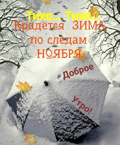 Зимняя открытка «Доброе утро!»: заснеженный зонт и осенние листья. Красивое изображение с надписью о приходе зимы после ноября. Открытка Крадется зима, по следам Ноября. Доброе утро. Атмосферная зимняя открытка с надписью «Тихо... Тихо... Крадется ЗИМА по следам ноября. Доброе утро!». На изображении запечатлен заснеженный пейзаж с деревьями и большой зонтом, полностью покрытым пушистым слоем снега. На снегу видны опавшие осенние листья, создающие контраст между уходящей осенью и наступающей зимой