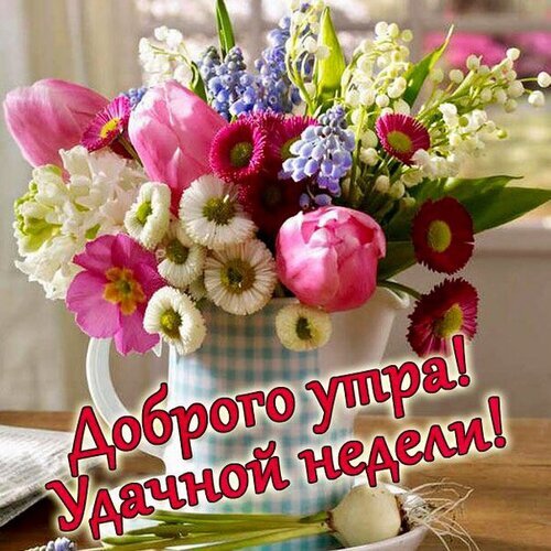 Красочная открытка с весенним букетом цветов (тюльпаны, ландыши) и пожеланием: «Доброго утра! Удачной недели!». Идеально для доброго настроения. Открытка Удачной недели Красивая поздравительная открытка с пышным весенним букетом цветов в белой вазе. В композиции представлены розовые тюльпаны, нежные ландыши, синие мускари и разноцветные маргаритки. На переднем плане расположена надпись на русском языке: «Доброго утра! Удачной недели!»