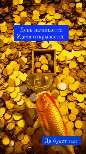 Золотые монеты, золотая рыбка и лампа желаний. Мотивирующая картинка на тему удачи, богатства и процветания с надписью «Да будет так». Анимированная открытка День начинается - удача открывается. Да будет так. Эстетичное изображение, символизирующее богатство и процветание. На фоне россыпи золотых монет изображена золотая рыбка, а в центре — волшебная лампа. На картинке присутствуют мотивирующие надписи на русском языке: «День начинается, Удача открывается» и «Да будет так». Визуальный ряд сочетает в себе элементы восточной философии привлечения удачи, изобилия и исполнения желаний Золотые монеты, золотая рыбка и лампа желаний. Мотивирующая картинка на тему удачи, богатства и процветания с надписью «Да будет так». Анимированная открытка День начинается - удача открывается. Да будет так. Эстетичное изображение, символизирующее богатство и процветание. На фоне россыпи золотых монет изображена золотая рыбка, а в центре — волшебная лампа. На картинке присутствуют мотивирующие надписи на русском языке: «День начинается, Удача открывается» и «Да будет так». Визуальный ряд сочетает в себе элементы восточной философии привлечения удачи, изобилия и исполнения желаний
