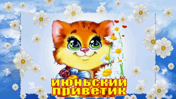 Милая летняя открытка с рыжим котенком и ромашками. Яркая надпись «ИЮНСКИЙ ПРИВЕТИК» на фоне голубого неба. Идеально для позитивного летнего настроения! Анимированная открытка Июньский привет! Яркая и милая поздравительная открытка с изображением мультяшного рыжего котенка с большими выразительными глазами. Котенок расположен на фоне голубого неба, украшенного белоснежными цветами ромашками и легкими облаками. В нижней части картинки расположена крупная, веселая надпись на русском языке «ИЮНЬСКИЙ ПРИВЕТИК», выполненная в желто-оранжевых тонах с контуром