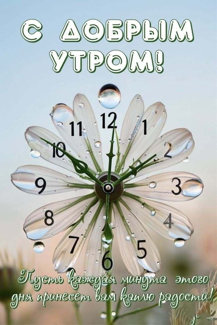 Открытка с добрым утром. Цветок-часы. Открытка с добрым утром. Цветок-часы.