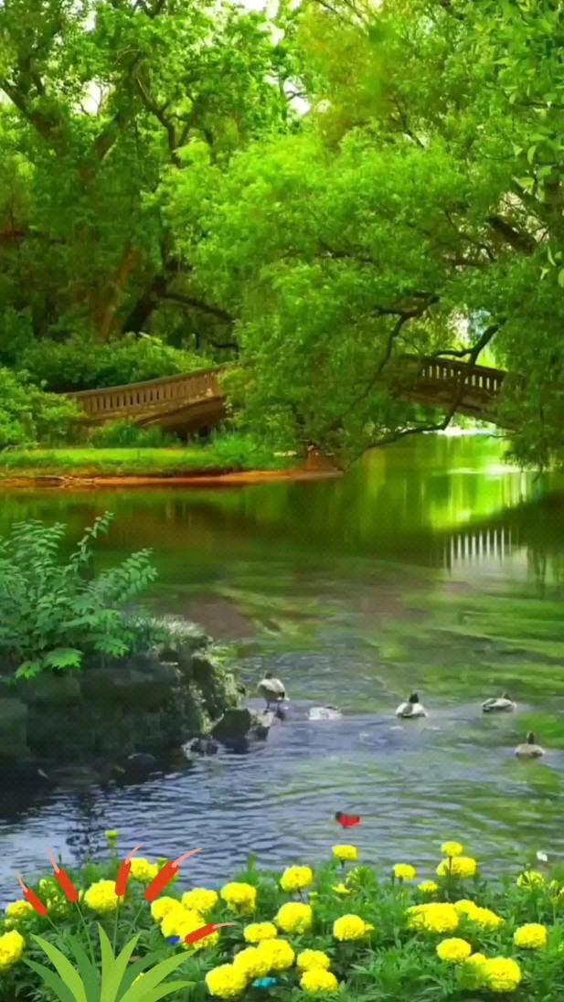 Пожелания на каждый день. ☕ a river surrounded by lush green trees and flowers in the foreground is a bridge